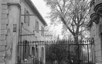 LE PETIT MARCEL REVIENT À LA BUZINE