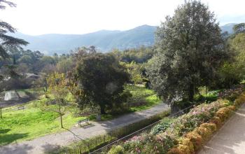 chateau de la buzine